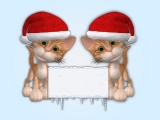 Kerstkaart: Twee kerstkatjes met kerstmutsen met een bord waar iets op geschreven kan worden