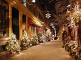 Kerstkaart: Mooi verlichte kerstbomen in een besneeuwde straat