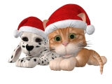 Kerstkaart: Een puppy en een kitten met een kerstmuts op