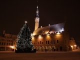 Kerstkaart: Verlichte kerstboom op de Raekoja Plats voor het stadhuis in Tallinn